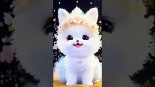 cute cat islamic videos #cute #funny #love #cat #islamicstatus #islamiccats1092