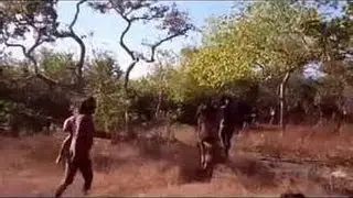 Uncontacted Amazon Tribes: Kamayur&aacute; Tribe Amazon River Brazil 2015 (documentary)