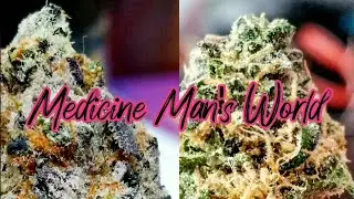 Mick Reviews Moment of Zen (White Widow + GMO)