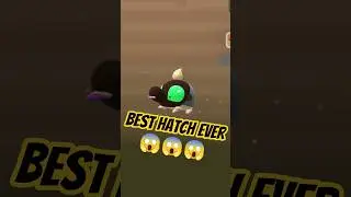 😱Best Hatch Ever 🥚😱😱