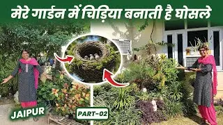 मेरे गार्डन में चिड़ियाँ बनाती है घोंसले 🐦🪺🪴 घर के चारों ओर लगाए पौधे ही पौधे 🌱🪴Garden Tour Part-02