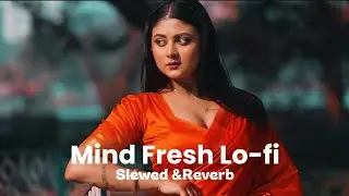Mind Fresh Lo-fi | Showed & Reverb Song | New Hindi Song 2025 | Lo-fi Song 
