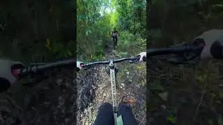 Carmen trail