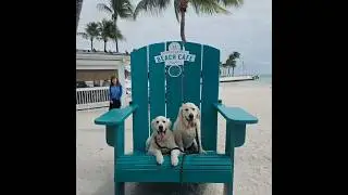 Bodhi & Swayze's Key West Adventure | Coastal Living with Dogs