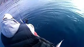 (kayak ) Ψάρεμα light & ultra light jigging για τσαουσάκια