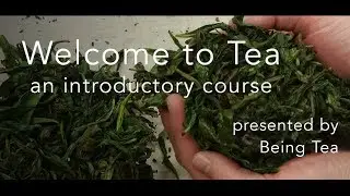 Welcome to Tea! introductory course