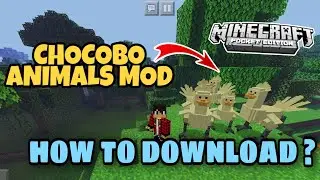 How to download chocobo Animal ? Minecraft pocket edition