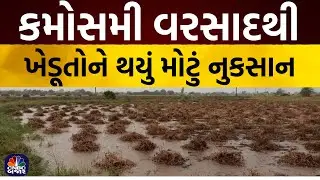 Gujarat Rain | ગુજરાતમાં 3 દિવસ માવઠાની આગાહી | Gujarat Mavthu | Rain in Gujarat | Rajkot | Surat