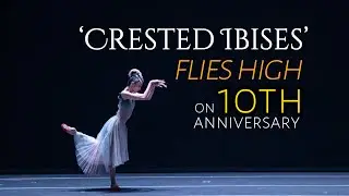 'Crested Ibises' flies high on 10th anniversary