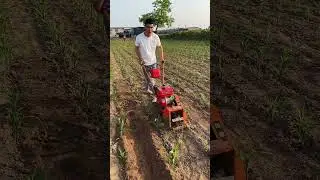 Mini-tiller Made in China #Agricultural Machinery #agriculture