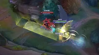 This Fiora Mechanics is kinda Clean...
