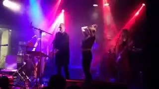 dust covered carpet - grey formations (live@flex)