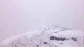 DSCF2135