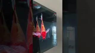 Amazing LED🔥