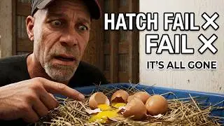 Why Our Chicken Hatch Failed | 5 Eggs, 0 Chicks