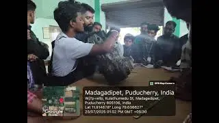 #smvec_iic