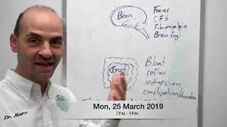 Gut Brain Workshop