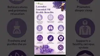 Health | Benefits of Lavender Essential Oil