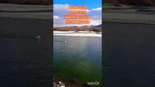 Река Онон (9).#россия,#река,#реки,#shorts,#river,#rivers,#забайкалье,#онон,#горы,#красотавокруг,#1k