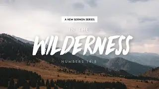 Cities of Refuge - Numbers 35:9-15 (Numbers 33:1&ndash;36:13)