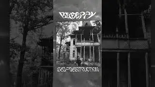 BLEEPPY - Прости (ссылка в профиле)