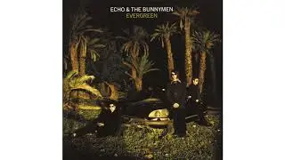 Echo & The Bunnymen - Rescue [Live]