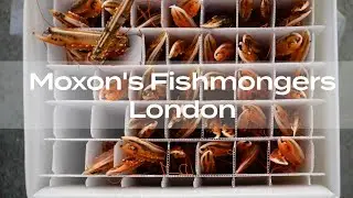 Behind the Scenes at Moxon's Fishmonger - East Dulwich, London
