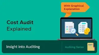 Cost Audit