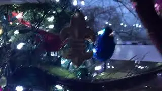 🎄My Beautiful Christmas tree in the blue hour 12/3/2018🎄