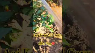 Aaj Mujhe Kaam Mil Gaya 🌱 | Sab Ped Aur Phoolon Ko Pani Diya | Mini Vlog #minivlog #vlog #shorts
