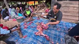 Kesibukan Warga Diacara Pesta Pengantin II Kehidupan Didesa II Village Life In Indonesia.