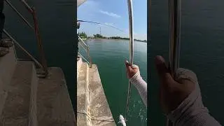 Strike senangin dermaga #fishing #mancing #lycanfishingtackle