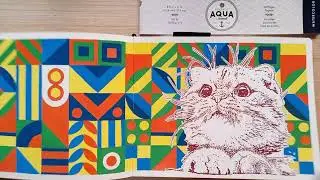 sketchbook tour no. 57.5 pentalic aqua journal sketchbook