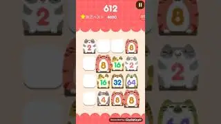 2048 CAT