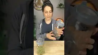 🥦Sprouting Lids Review