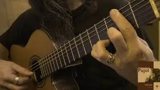 Máximo Diego Pujol - Color sepia