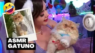 ASMR Gatuno 'Simba & Burbuja' meow - SharonWinner