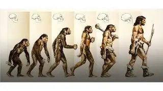 10 Scientific Myths We Believed for Years&hellip; Until Science Proved Them Wrong