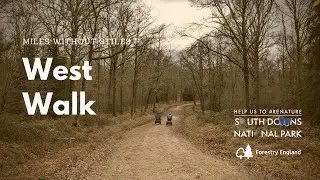 Miles without Stiles: West Walk, Hampshire