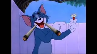 MLG Tom and Jerry