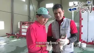 글로벌 아빠 찾아 삼만리 - 네팔 자매 푸남과 로린의 아빠사랑 사수기_#001