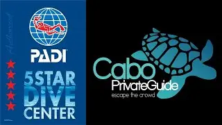Scuba Diving Tours from Cabo San Lucas