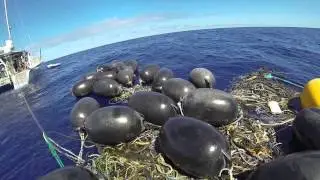 More-Plastic-Than-Life-Documentary