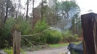 Power line starting fire on tree