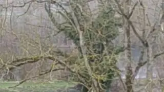 The Mill retreat centre, Normandy, with Louise Langley