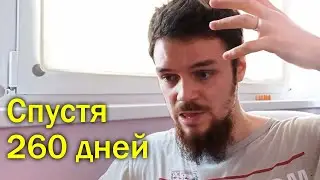 Ну чё, камбек?!