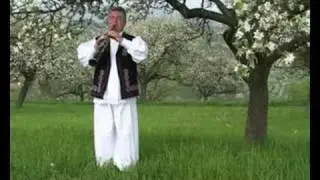 Dumitru Dobrican - Batranescul de la Grosi