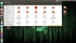 How to access NXT TestNet