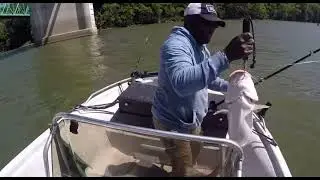 Catching a nice Blue Cat  on a cheap rod.