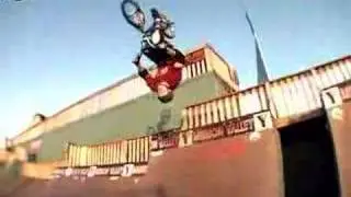 backflip to fakie